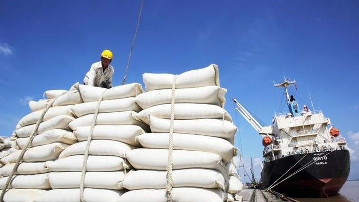 CHÂU PHI DỰ KIẾN NHẬP 17,7 TRIỆU TẤN GẠO NĂM NAY, VIỆT NAM LÀ MỘT TRONG 4 THỊ TRƯỜNG CHÍNH.
